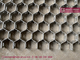 HESLY Hexagonal Mesh 410S Нержавеющая сталь, 10 мм полосы, 50 мм шестиугольное отверстие, антиабразивный поставщик